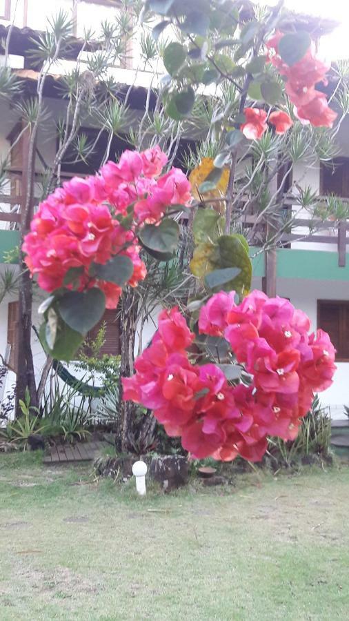 Pousada Girassol Itacaré المظهر الخارجي الصورة
